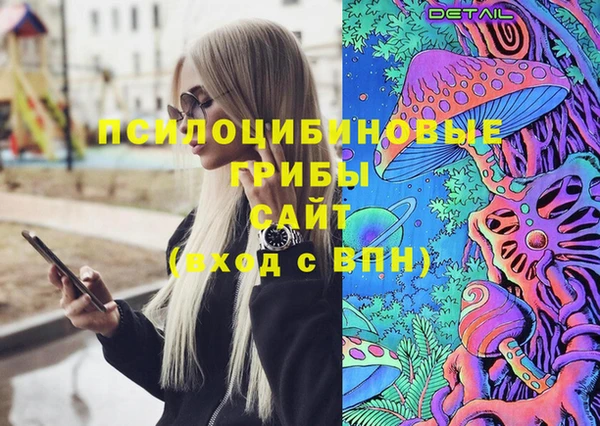 тгк Алексин