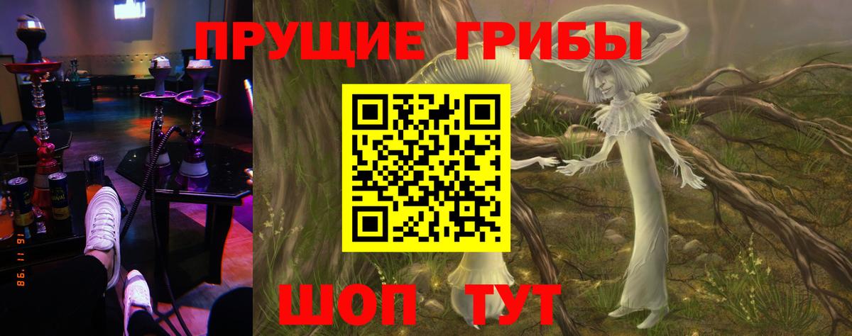 Старый Оскол  Галлюциногенные грибы Psilocybe  Вход с VPN 